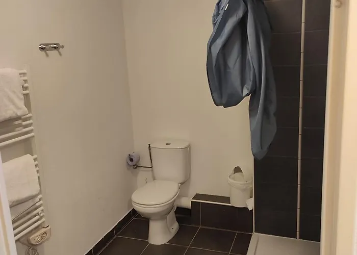 City Residence Nice 3* ניס